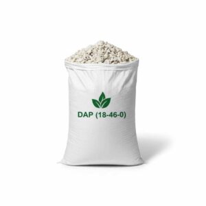 White to light gray Di Ammonium Phosphate in a 50 kg bag
